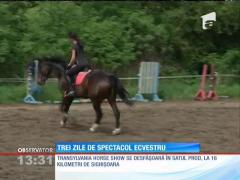 Transylvania Horse Show, cel mai important concurs internaţional de echitaţie din România