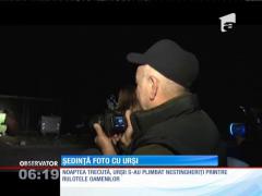 Ședință foto cu urși