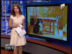 În România a fost ridicată prima fermă 100% ecologică din Munţii Carpaţi