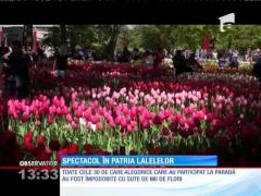 Amsterdam: Zeci de mii de turişti au asistat la festivalul florilor