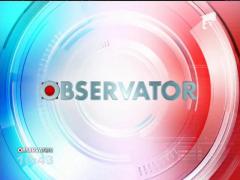 Un şofer a avut parte de o întâlnire cu un aligator uriaș