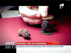 Mit sau realitate? Puterea brăţărilor Rudraksha