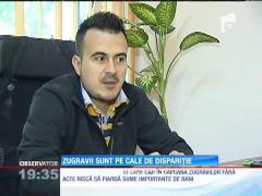 Zugravii şi dulgherii sunt pe cale de dispariţie