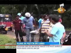 Miraculos! Ploaie de peşti în Sri Lanka
