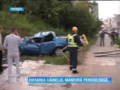 Un poliţist din Pitești a fost implicat într-un accident, după ce a încercat să evite un câine