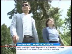 Sparanghelul, ambrozia baronilor