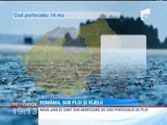 Furtună violentă în Bucureşti! Copac căzut peste două mașini