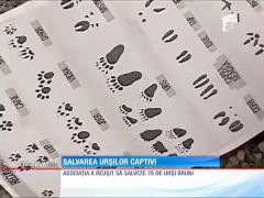 Salvarea urşilor captivi