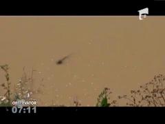 Un bărbat a fost luat de o viitură de pe malul Siretului