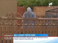 Primărie spartă, infractori liberi!