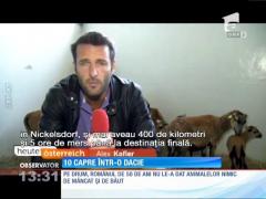 Arestat din cauza caprelor!