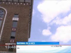 Nu doar pisica are nouă vieţi! Ratonul, mai tare ca pompierii