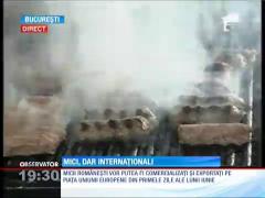 Din 1 iunie, MICII româneşti vor putea face furori şi peste graniţă!