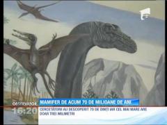 Descoperire fără precedent în România!  Mamifer de acum 70 de milioane de ani