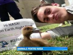 Inedit! Animale pentru NASA