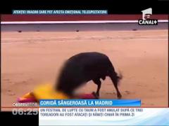 Imagini şocante! Corida sângeroasă!