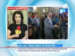 Şefii USD, nemulţumiţi de rezultatele alegerilor europarlamentare