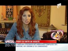 SPECIAL! Pisici cu dietă de vedetă
