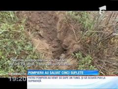 Căţeluşi salvaţi din vizuina unei vulpi