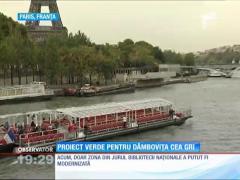 Proiect verde pentru canalul Dâmboviţei