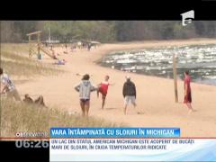 Un lac din statul american Michigan este acoperit de sloiuri mari de gheaţă la început de vară