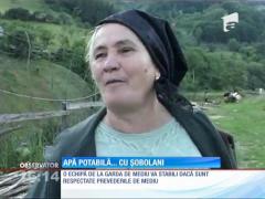 Beau apă din același loc cu șobolanii