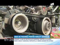 Tallin, capitala proprietarilor de Harley Davidson!