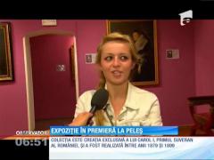 Castelul Peleş e gazda unei expoziţii de pictură inedite