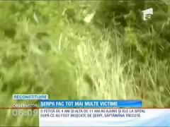 Un tânar a fost muşcăt de o viperă