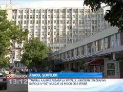 Viperele au făcut trei victime!