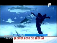 Şedinţă FOTO SEXY printre... rechini!