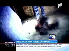Principesa Irina va pleda vinovat