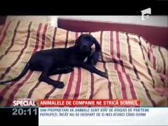 SPECIAL! Animalele de companie ne strică somnul