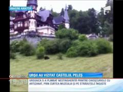 Castelul Peleş a avut astăzi vizitatori mai neobişnuiţi