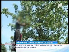 A plecat după cireşe şi a ajuns în stare gravă, la spital!