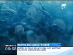 Șapte milioane de dolari pentru protejarea oceanelor