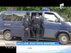 Ouă și găini, șpagă pentru magistrați