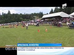 Întrecerea trăsurilor din Harghita