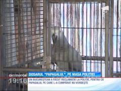 Coco, papagalul "vorbitor", care nu scoate niciun cuvânt!