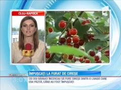 Doi bărbaţi din Sibiu au fost împuşcaţi la furat de cireşe