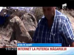 Internet la viteza măgarului