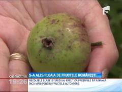 Fructe rare și scumpe