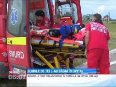 Un copil din judeţul Vaslui, în comă după ce a căzut dintr-un tei