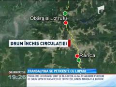 Transalpina se peticește cu lopata