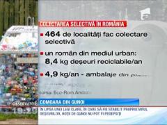Hoţii deşeurilor fură selectiv