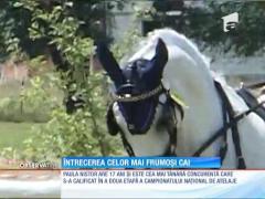 Întrecerea celor mai frumoși cai