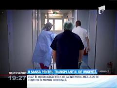 Observator de weekend