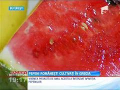 Pepenii "românești" vin din... Grecia