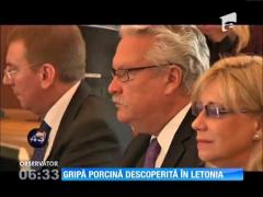 Gripă porcină, descoperită în Letonia!