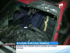 Nu vă lăsaţi păcăliţi! Pepeni de Dăbuleni "made in Grecia"